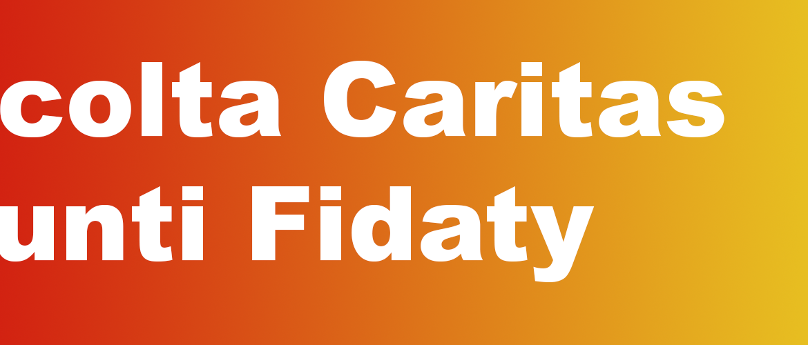 raccolta punti fidaty caritas